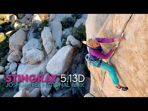 Stingray 5.13d